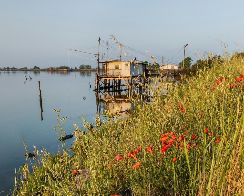 Domenica 17 maggio 2026 - € 73,00